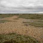 Map 189: Dungeness, an apparently desolate landscape of national conservation significance
